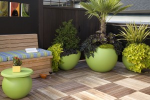 colorful outdoor pots and plants