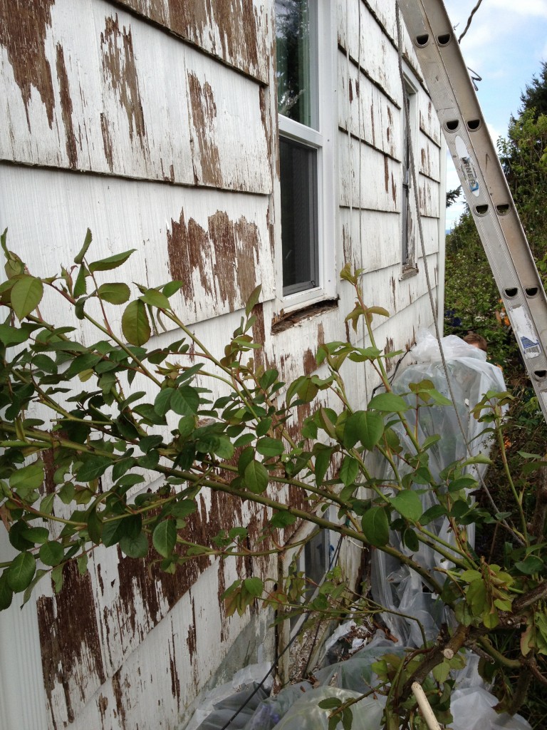 Seattle interior designer works with team to rehab a house