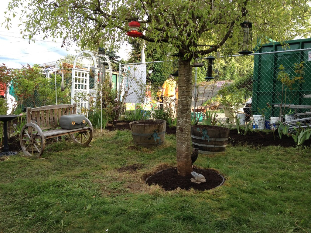 Seattle interior designer weeds, prunes for Rebuilding Seattle