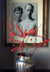 Holiday Red Winter Berries for Interiors